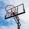 DUNK M025 מתקן סל מקצועי מתכוונן עד 3.05 מטר לוח פוליקרבונט 44 אינץ'