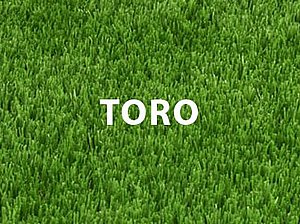 דשא סינטטי TORO גובה 42 ממ רוחב 2 מטר 4 גוונים דשא סינטטי TORO גובה 42 ממ רוחב 2 מטר 4 גוונים