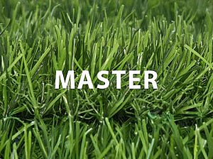 דשא סינטטי MASTER גובה 27 ממ רוחב 3 מטר 3 גוונים דשא סינטטי MASTER גובה 27 ממ רוחב 3 מטר 3 גוונים