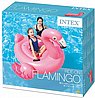 מזרן ים פלמנגו 57558 INTEX