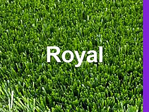 דשא סינטטי Royal גובה 17 מ"מ מחיר ל-1 מ"ר דשא סינטטי Royal גובה 17 מ"מ מחיר ל-1 מ"ר