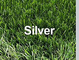 גליל דשא סינטטי Silver גובה 42 מ"מ מחיר ל-100 מ"ר גליל דשא סינטטי Silver גובה 42 מ"מ מחיר ל-100 מ"ר