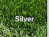 גליל דשא סינטטי Silver גובה 42 מ
