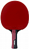 מחבט בטרפליי Butterfly Timo Boll RUBY
