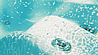 בריכת זרמים Mercury Premier swim spa