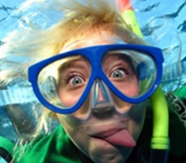 משקפות שנורקלים ובגדי ים