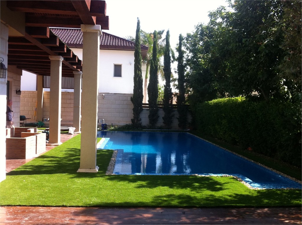 ��� ������ �����